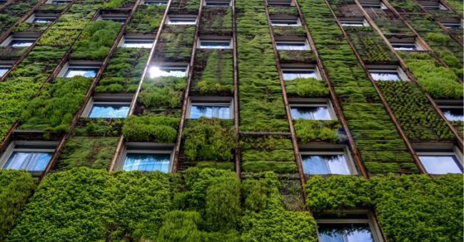 green buildings ecoedificios