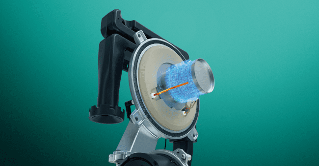 vaillant