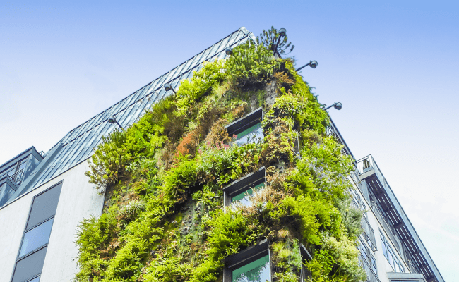 sustentabilidade