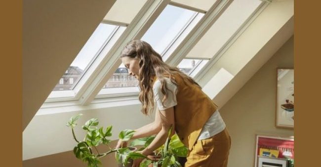 Coleção Nature VELUX
